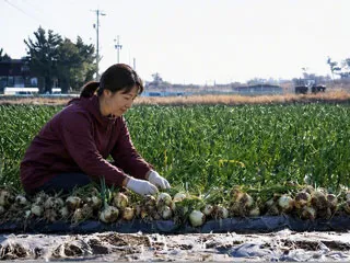 JAとぴあ浜松　無料職業紹介所のアルバイト・バイト求人情報