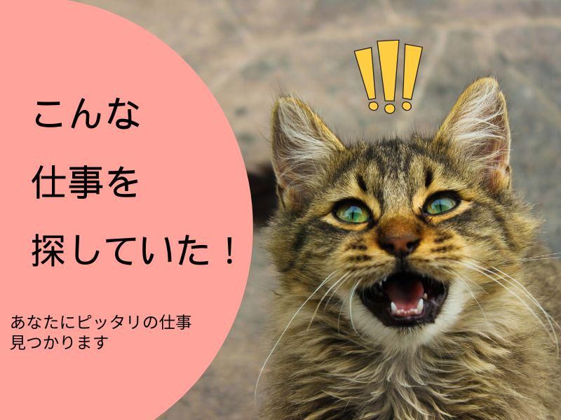 株式会社ジョブフィールの求人・転職情報