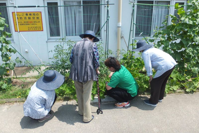 社会福祉法人たんぽぽ福祉会-0002の求人・転職情報