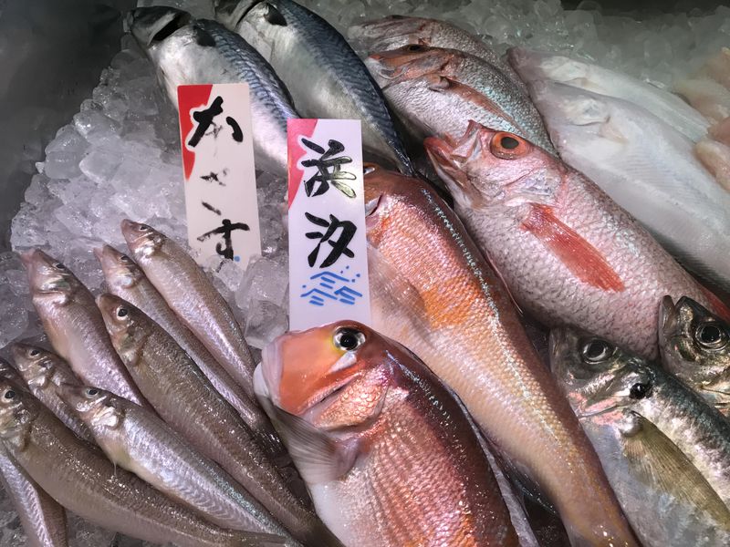 魚菊のアルバイト・バイト求人情報-02