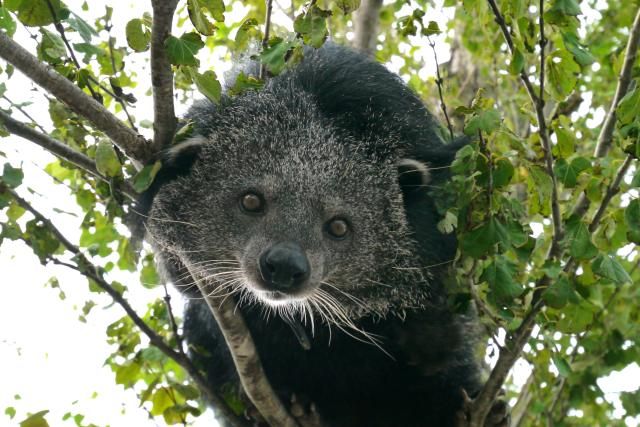 那須どうぶつ王国のアルバイト・バイト求人情報-04