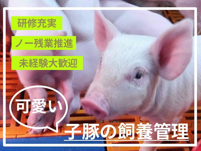 株式会社北海道中央牧場