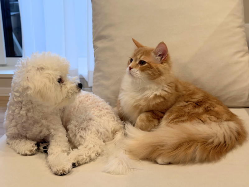 株式会社Ｍｅの求人・転職情報