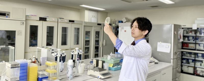 株式会社ノエビアの求人・転職情報