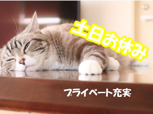 株式会社ホットスタッフ宮崎のアルバイト・バイト求人情報-03