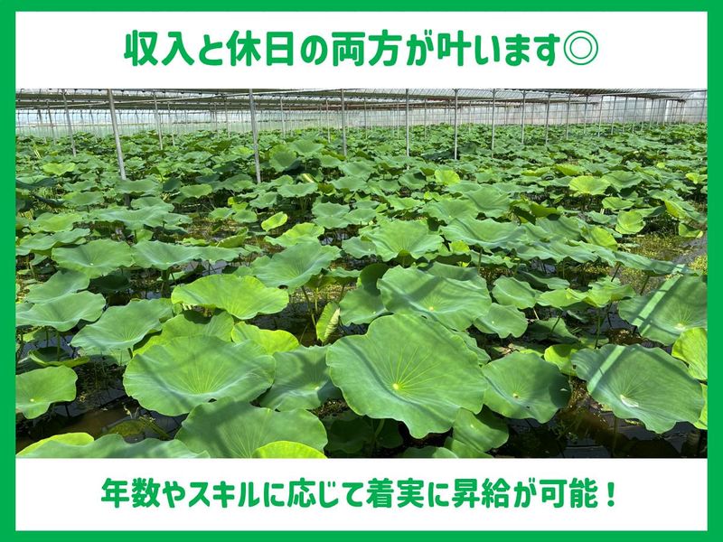 株式会社One vegetableのアルバイト・バイト求人情報-03