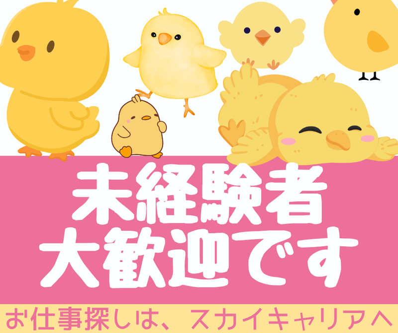 株式会社スカイキャリア(派遣先:佐賀県鳥栖市)FUK048のアルバイト・バイト求人情報-02