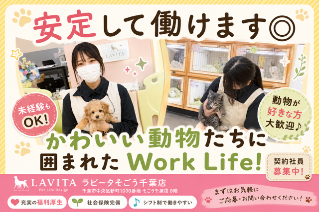 株式会社ラビータの求人・転職情報
