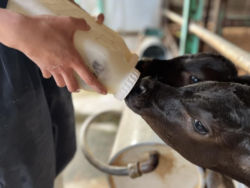 株式会社ジェイイーティファーム