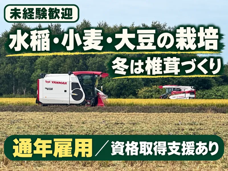 有限会社ほなみの求人・転職情報
