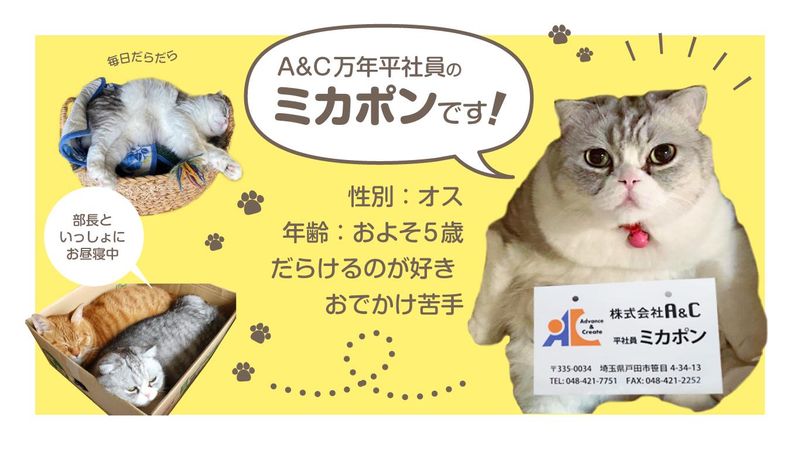 株式会社A&Cのアルバイト・バイト求人情報-02