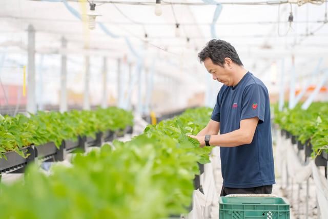 株式会社ミコー総合開発の求人・転職情報