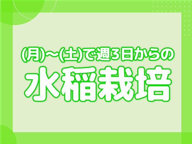 美郷氷上農産(池田建設株式会社)のアルバイト・バイト求人情報-01