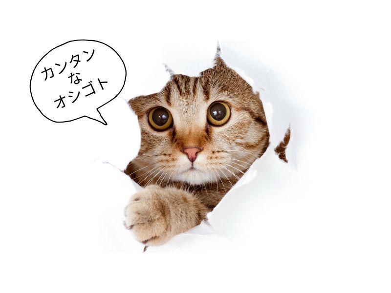 株式会社ジョブフィールの求人・転職情報
