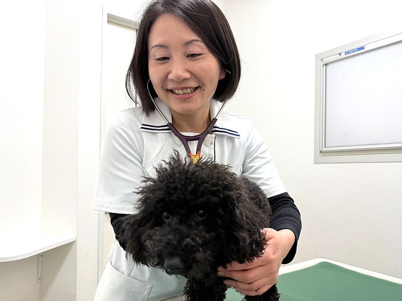 有限会社渡辺動物病院の派遣求人情報