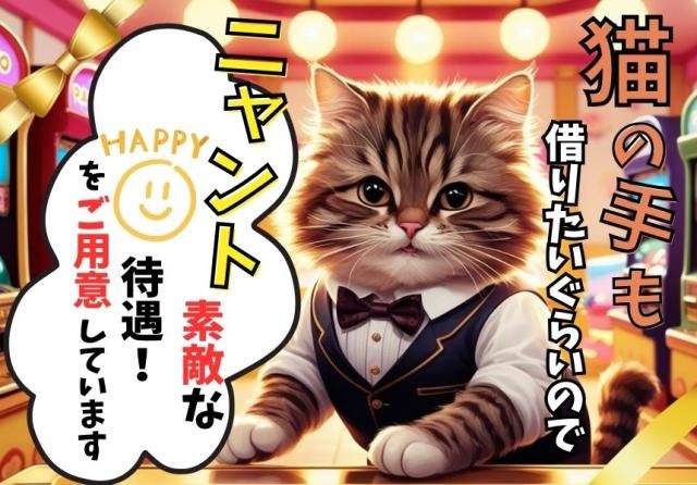 有限会社ディータのアルバイト・バイト求人情報-26