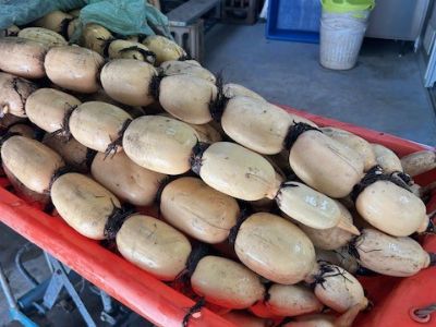 JAグループ兵庫の求人・転職情報