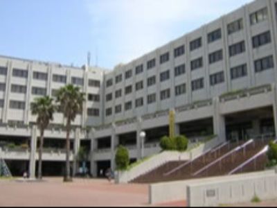 国際ライフパートナー株式会社の求人・転職情報