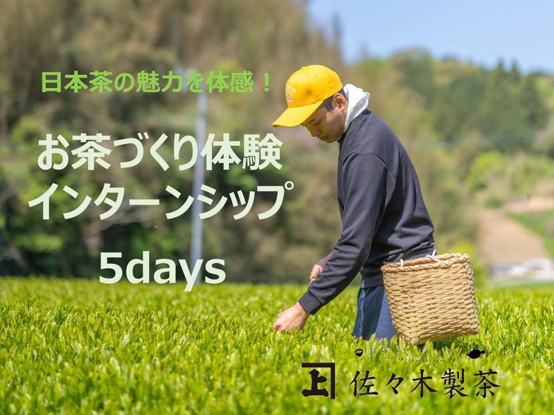 5DAY静岡│製茶企業のインターンシップ│食品・製茶メーカー