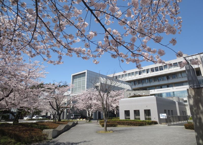 学校法人桐蔭学園の求人・転職情報