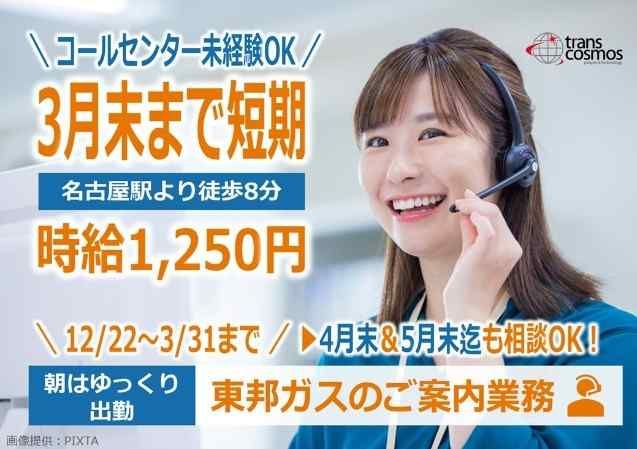 トランスコスモス株式会社の求人・転職情報