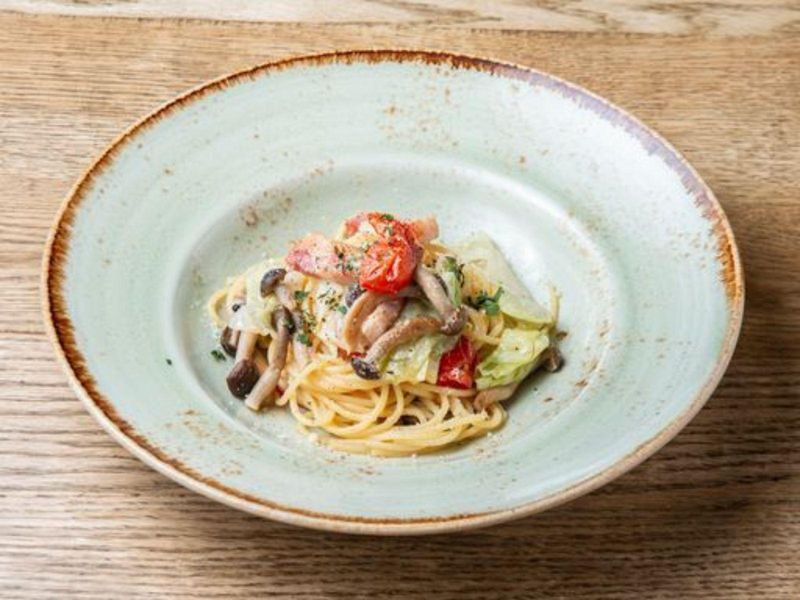 株式会社バルニバービウィルワークスの求人・転職情報