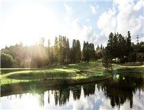 株式会社ザナショナルカントリー倶楽部の求人・転職情報