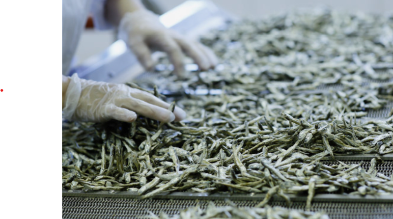 株式会社サカモトの求人情報