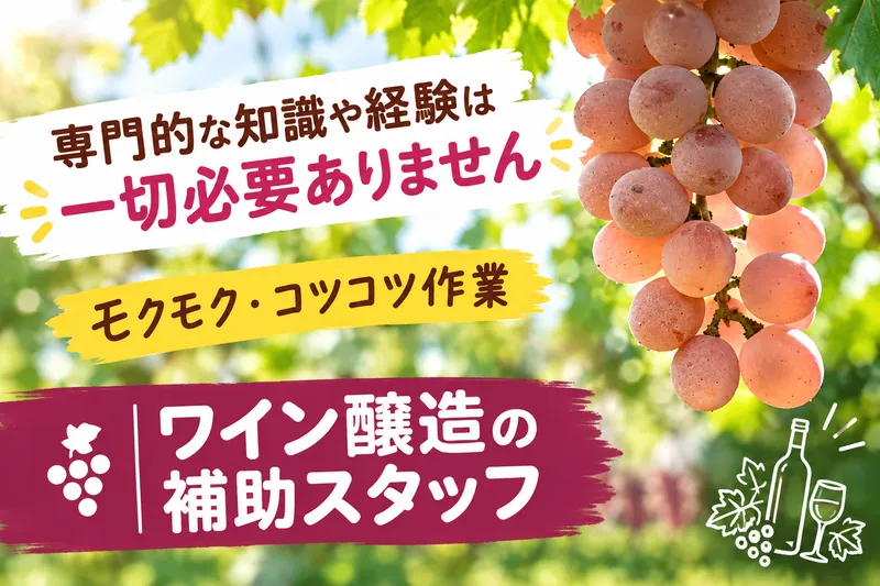 マンズワイン株式会社のアルバイト・バイト求人情報