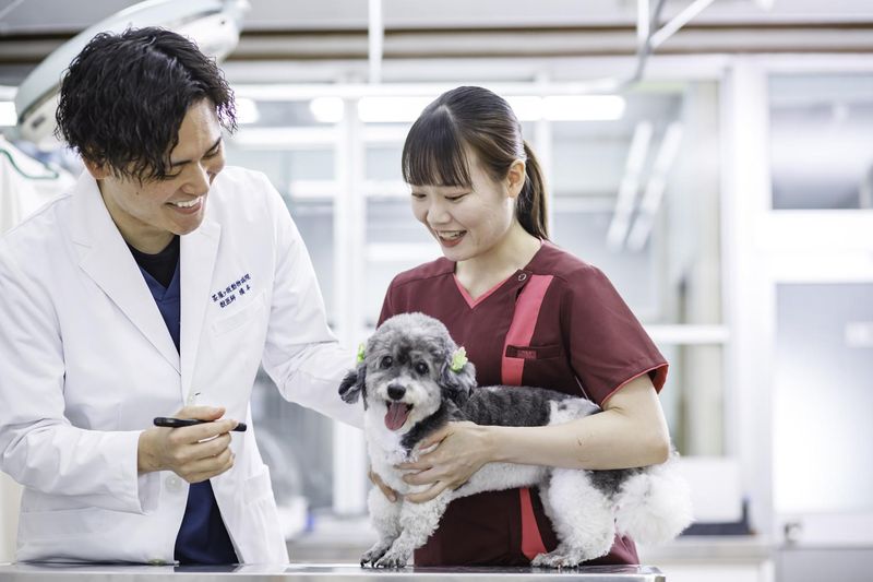 有限会社茶屋ヶ坂動物病院のアルバイト・バイト求人情報-01