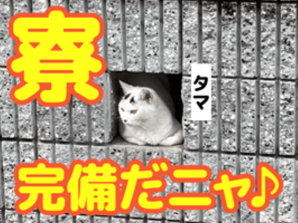 株式会社ZENSHINのアルバイト・バイト求人情報-05