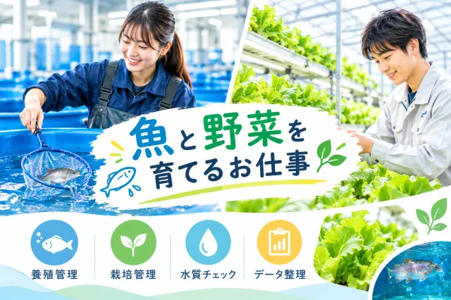 株式会社アクセス22のアルバイト・バイト求人情報