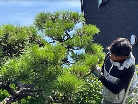 株式会社安造園のアルバイト・バイト求人情報-05
