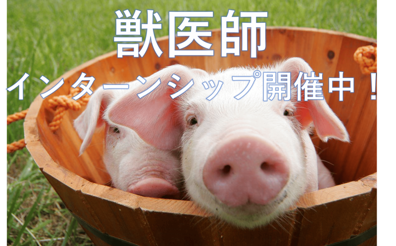 グローバルピッグファーム株式会社