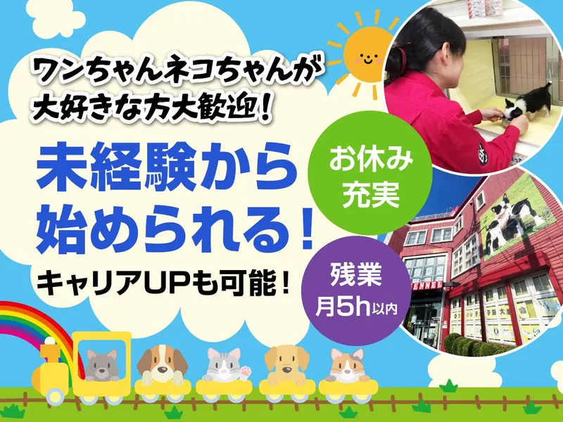 株式会社ボストンの求人・転職情報