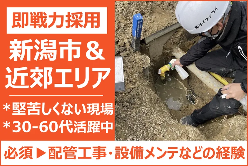 株式会社ライフシライの求人・転職情報