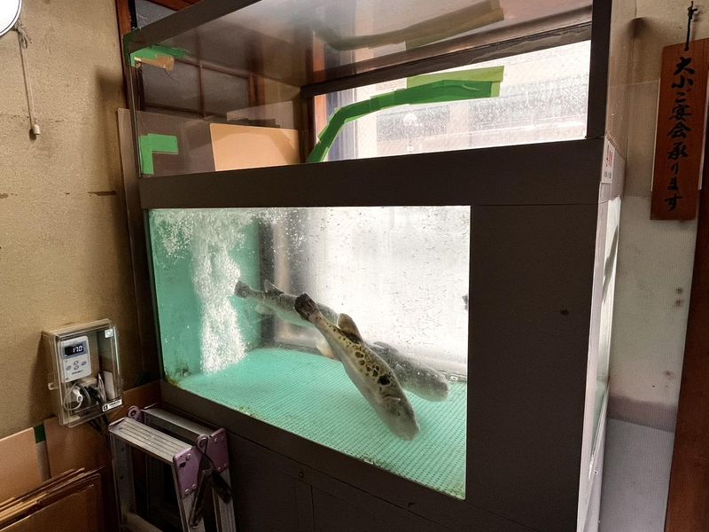 ふぐ政　明石店のアルバイト・バイト求人情報-03