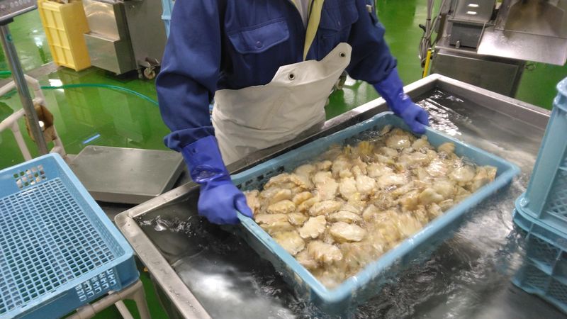 クラレイ株式会社の求人・転職情報