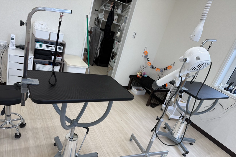 DogSalon パレハ前橋店の求人・転職情報-04