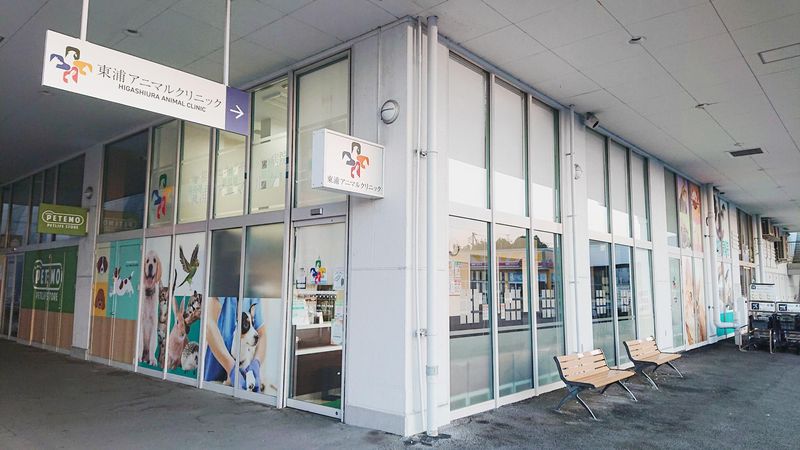 株式会社ファニメディック-0008の求人・転職情報