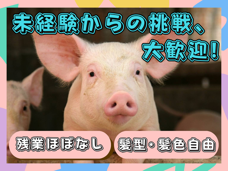 有限会社若槻養豚の求人・転職情報