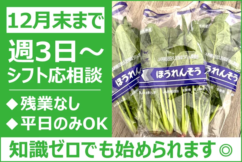 堤農園の派遣求人情報