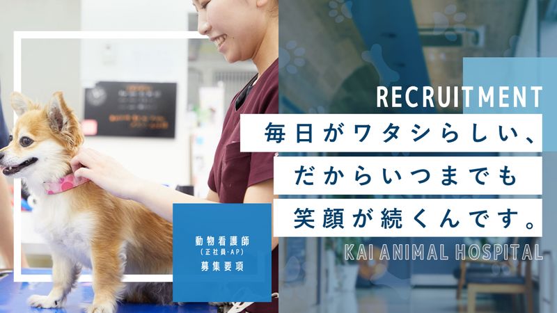 株式会社KAI動物病院の派遣求人情報
