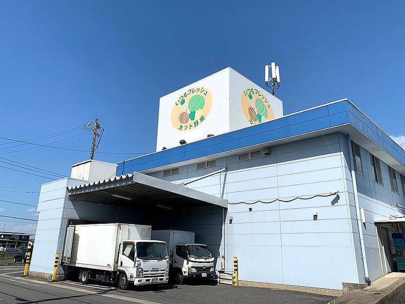 株式会社坪井商店の求人・転職情報