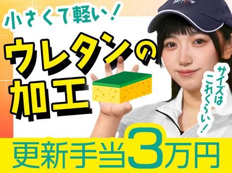 株式会社アドバンティア　新城