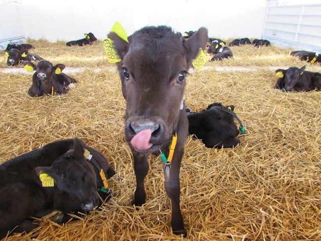 株式会社トップファームの求人・転職情報