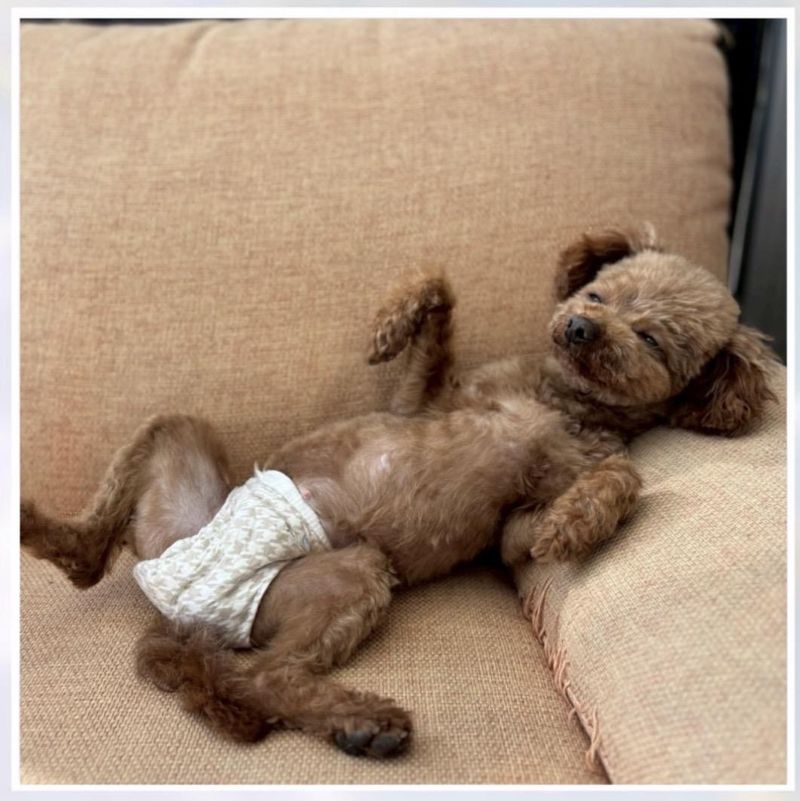 株式会社浜松マネジメントコンサルティングのアルバイト・バイト求人情報-16