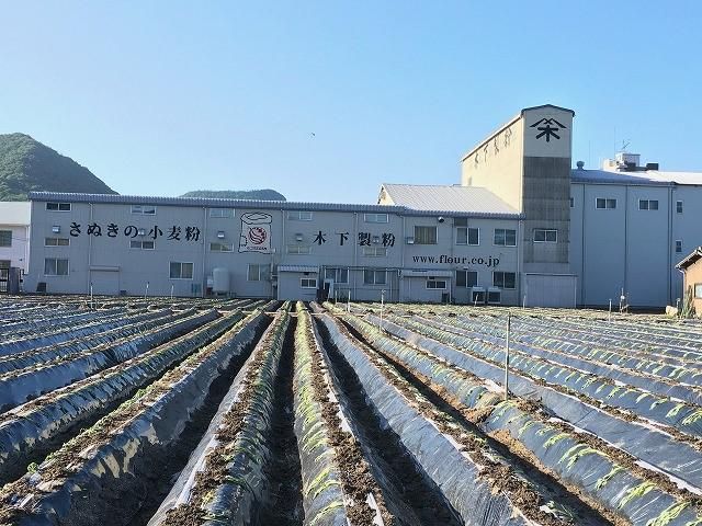 木下製粉株式会社のアルバイト・バイト求人情報-02