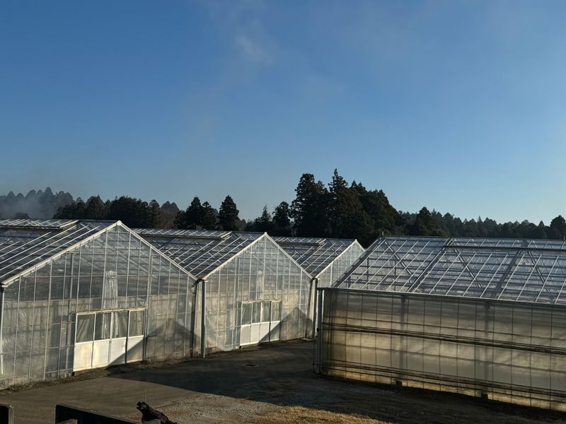 株式会社綿貫園芸