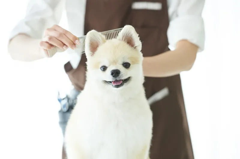 株式会社犬丸の求人・転職情報